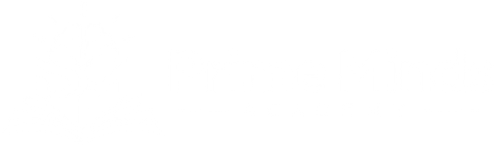 Prime Minds Academy